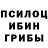 Псилоцибиновые грибы Cubensis Sahipjamal Zsz