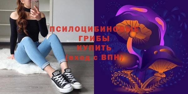 apvp Нея