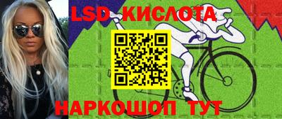 крисы Гагарин