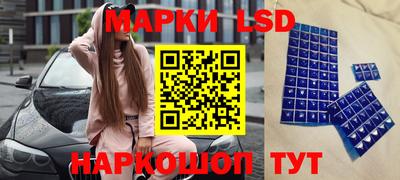 крисы Гагарин