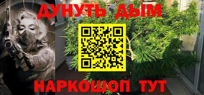 крисы Гагарин