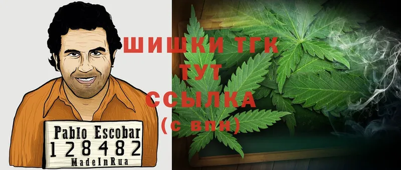 Каннабис SATIVA & INDICA  Ногинск 