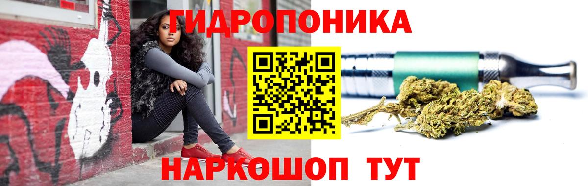 Каннабис Bruce Banner  Бошки Шишки индика  Вход с VPN  Бошки Шишки планчик  Ногинск 